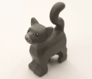 Kat, staand met zwarte ogen, felroze neus, licht blauwachtig grijze snuit